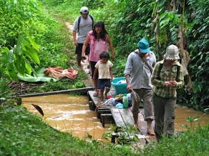 Foto van een junglewandeling naar een indianengemeenschap.